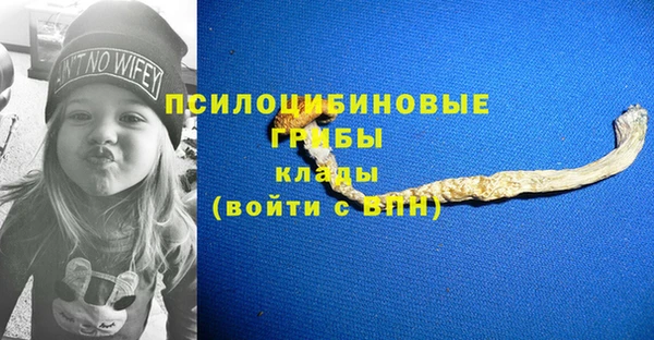 ешки Кукмор