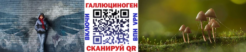 blacksprut tor  Хасавюрт  Псилоцибиновые грибы Magic Shrooms 