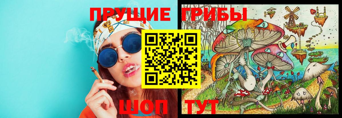 Псилоцибиновые грибы мицелий  Вход с VPN  Псилоцибиновые грибы прущие грибы  Хасавюрт 